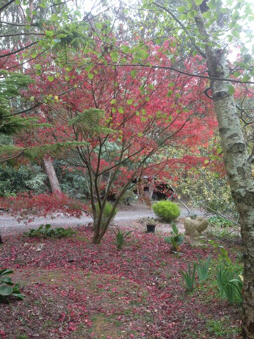 Beautiful garden setting