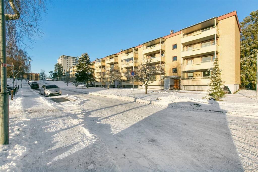 Street during the winter