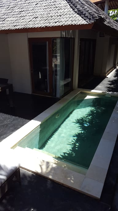 Private Lap Pool and Terrace