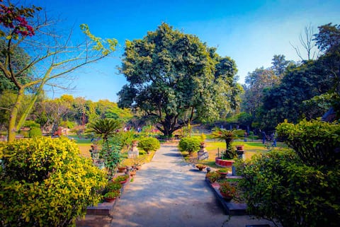 8 MANDI HILLS BOUTIQUE FARMSTAY | POOL | DELHI