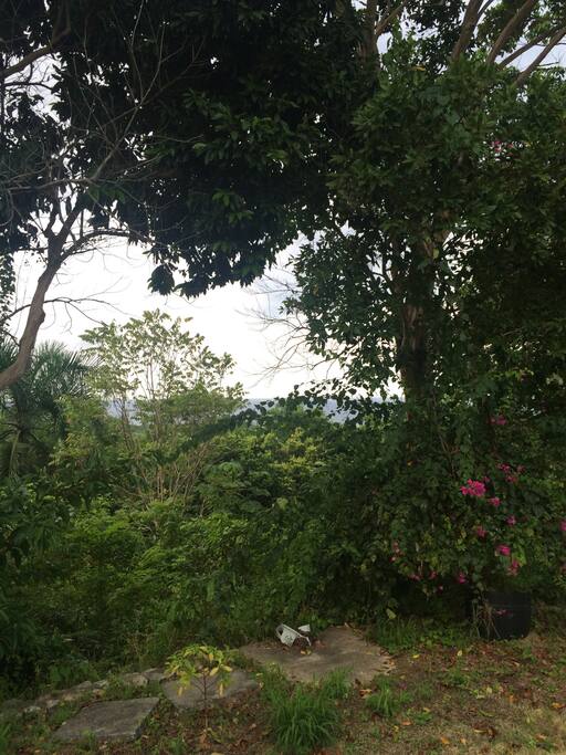 Sea view from back porch