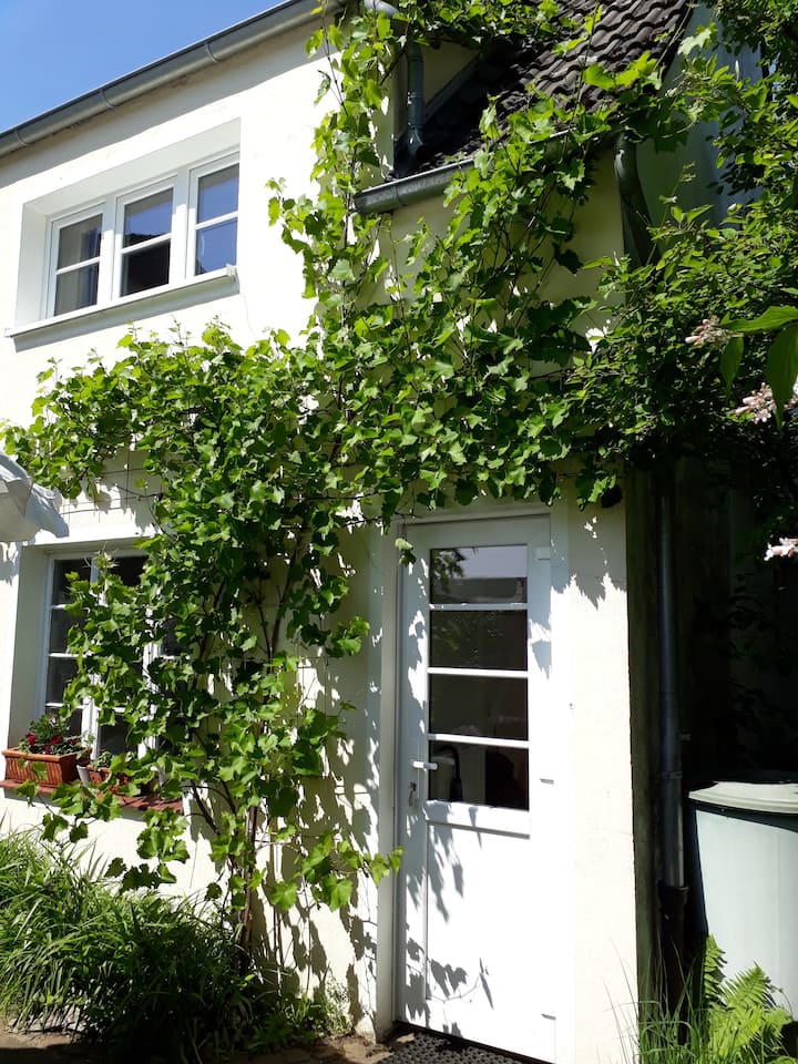 500+ Ferienwohnungen in Münster Wohnungen und Häuser Airbnb