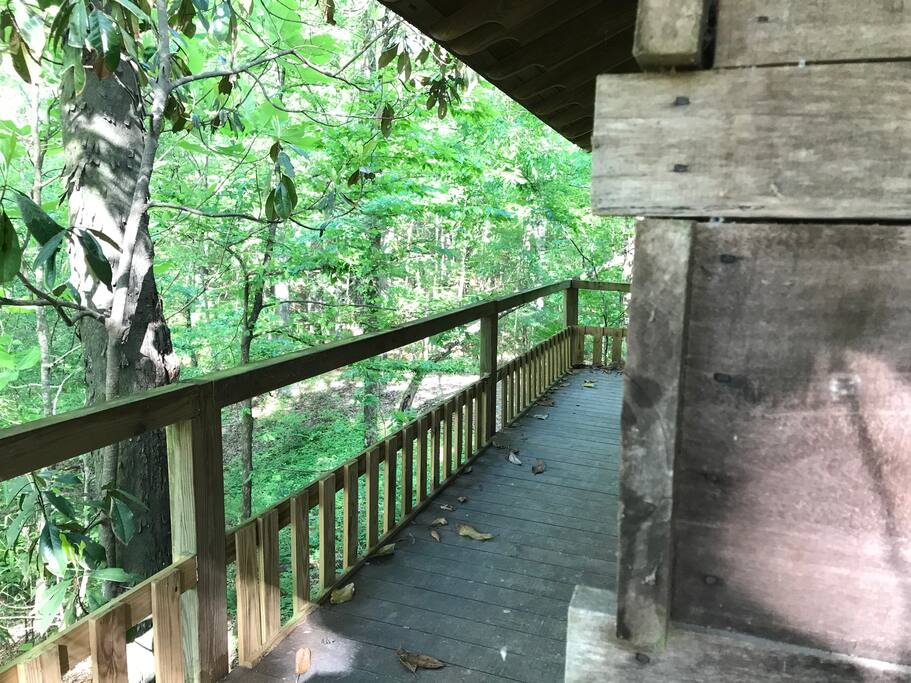 Thunder Ridge—Pet Friendly, Secluded Getaway Cabins for Rent in