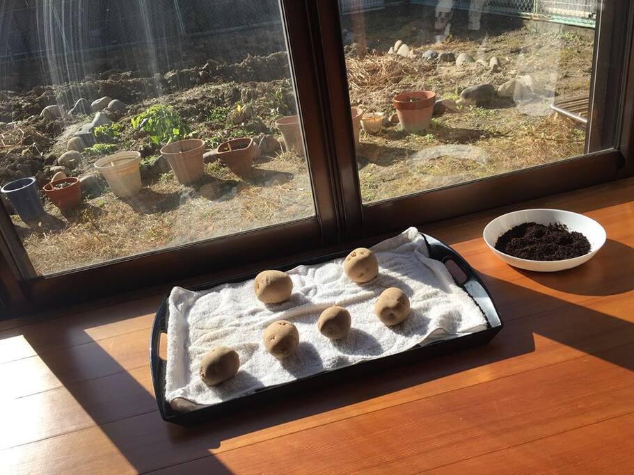 縁側とじゃがいも