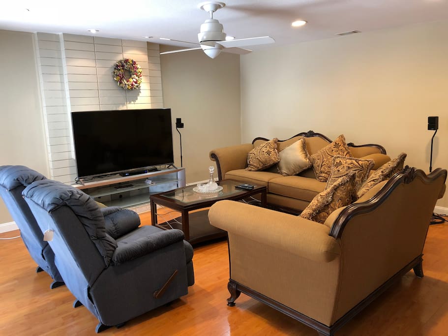 Living room with 65 inch TV