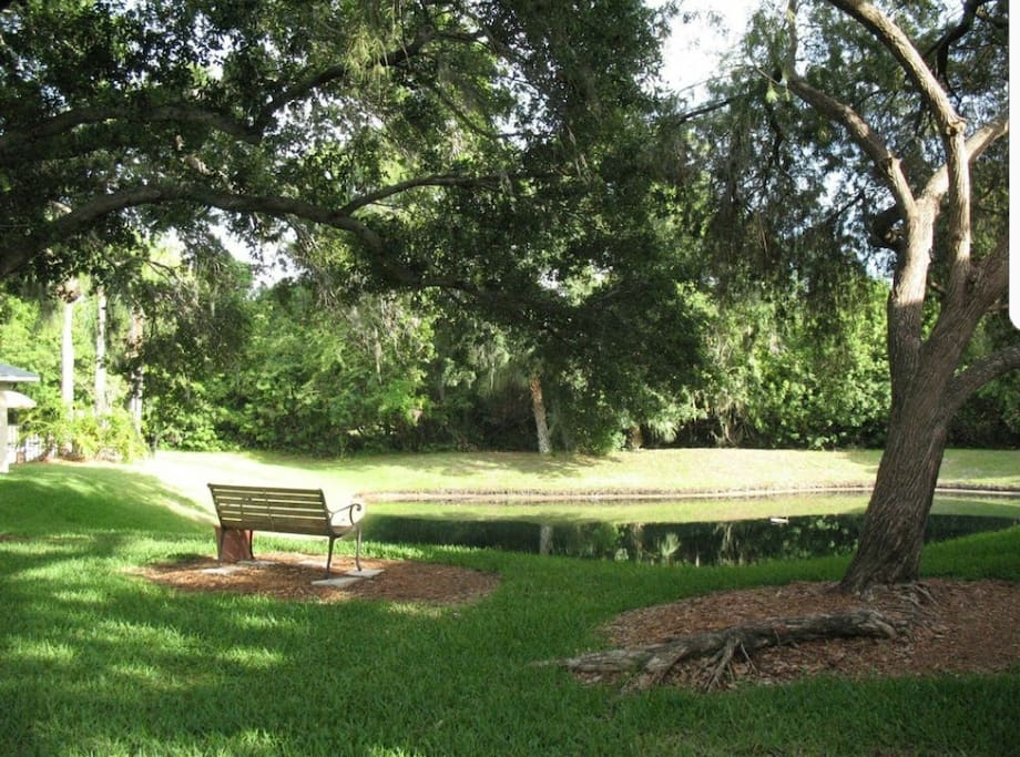 Outdoor area within the Condominium complex