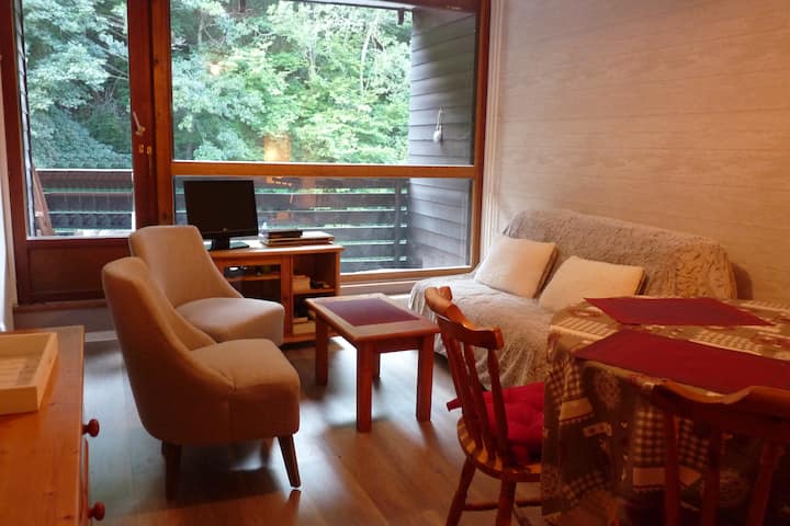 Appartement T2 Les Pradets - Mont-Dore