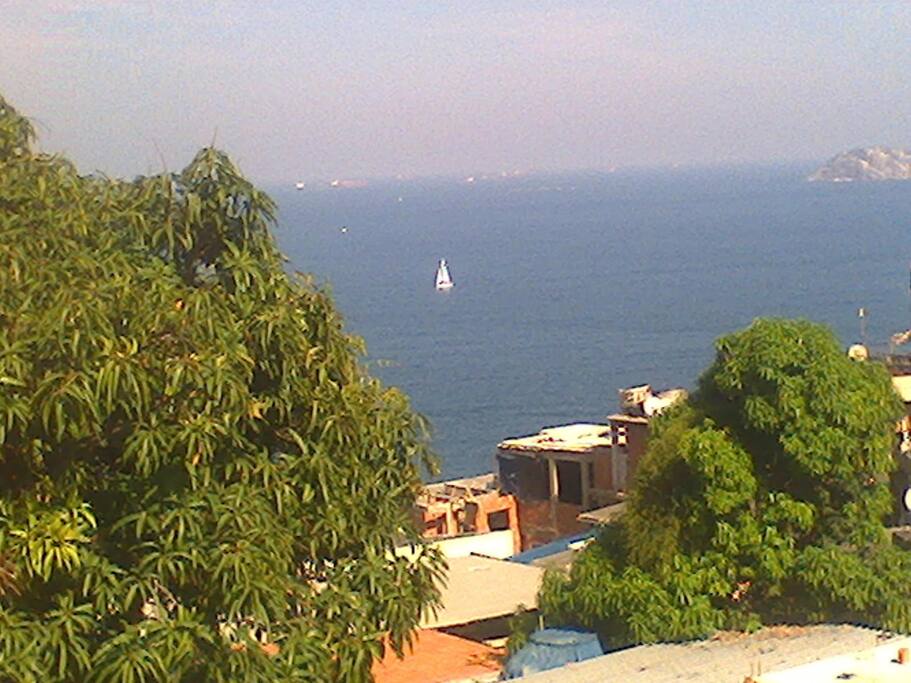 Terrace view