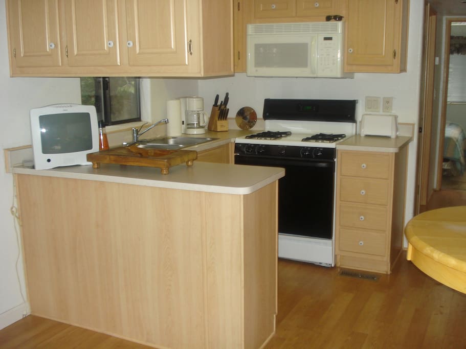 Kitchen shot 2010