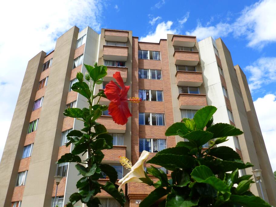 Building - Edificio