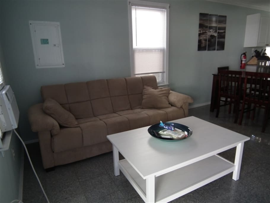 Living area with full futon sofa sleeper