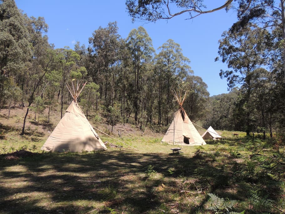 16' - 5m - diameter tipi (fits 6) -- 18' 6m tipi (fits 8) - Canvas camp (fits 4)