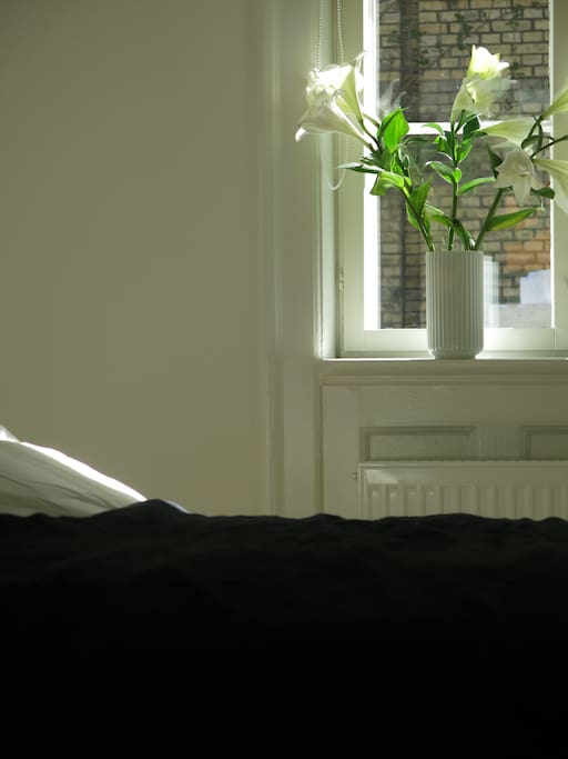Quiet bedroom