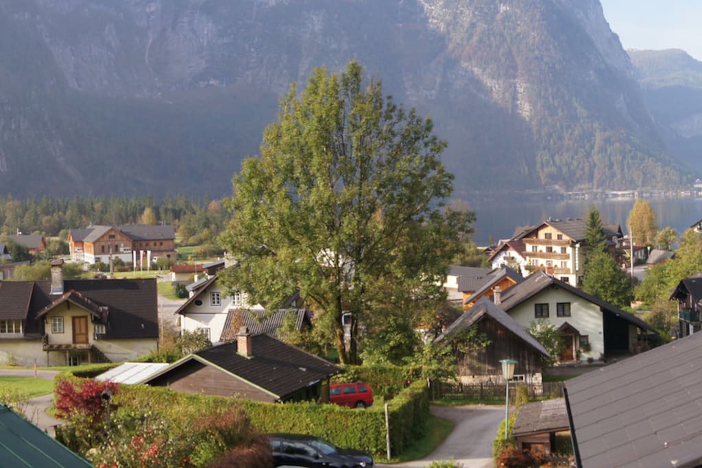 View from the house