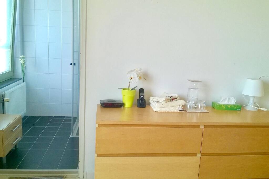 Master Bedroom with Attached Private Bathroom - Clean Linnen, Towels and Nice Breakfast