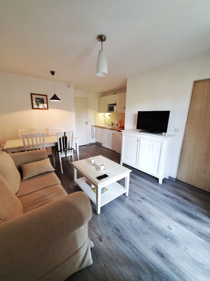 Appartement T4 Au Bord Du Lac - Piscine - Biscarrosse