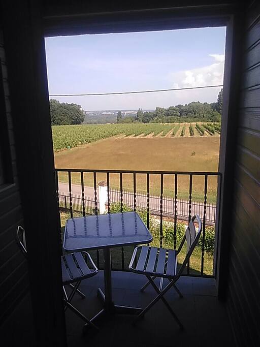 vue de la chambre sur les vignes