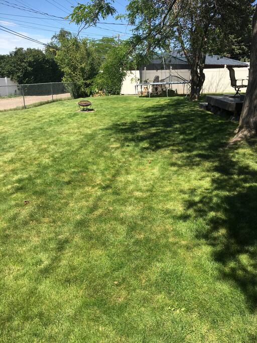 lots of yard