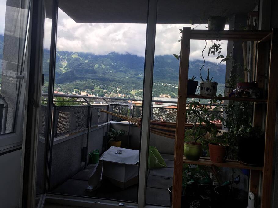 View from guestroom