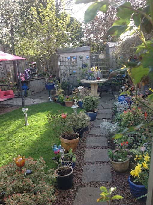 View of garden from Conservatory