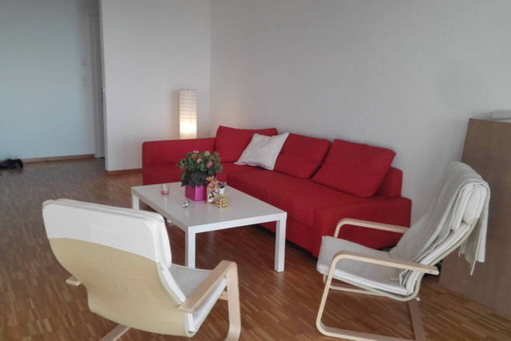 spacious living area with pull out sofa