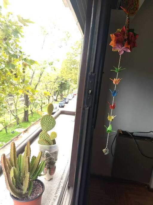 vista desde la ventana linving-comedor del apartamento