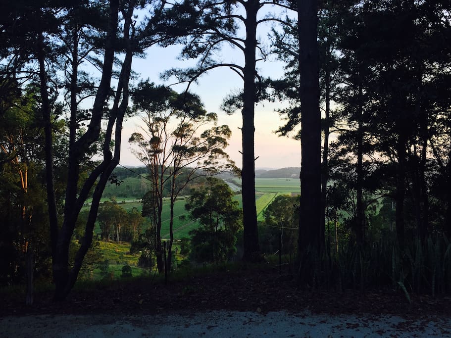 View from back of house - Tweed Valley sugarfields