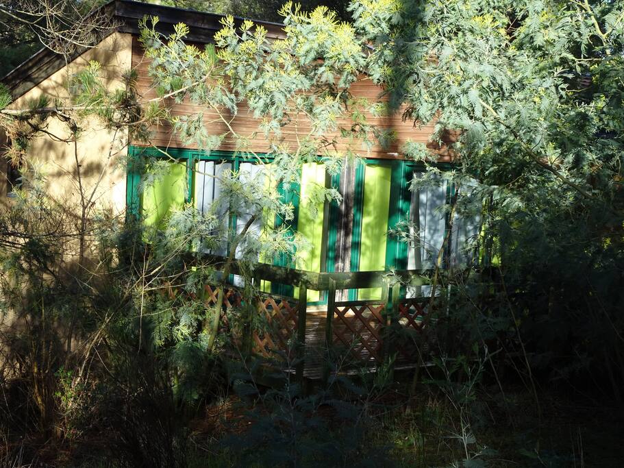 Terrasse ensoleillée
pour vos petits déjeuners