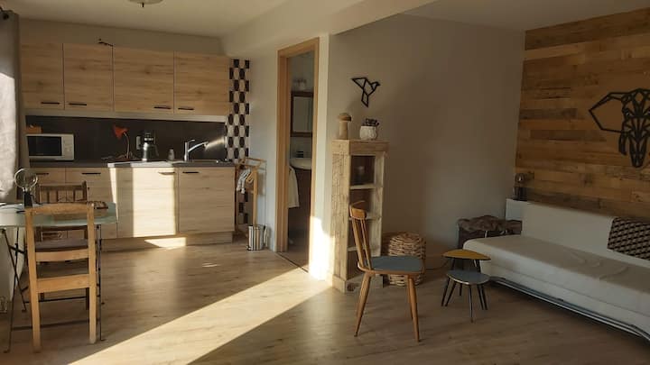 单间公寓（ 1号）一楼有2张单人床或1张大双人床，带厨房，非常适合祖父母或带BéBé的情侣