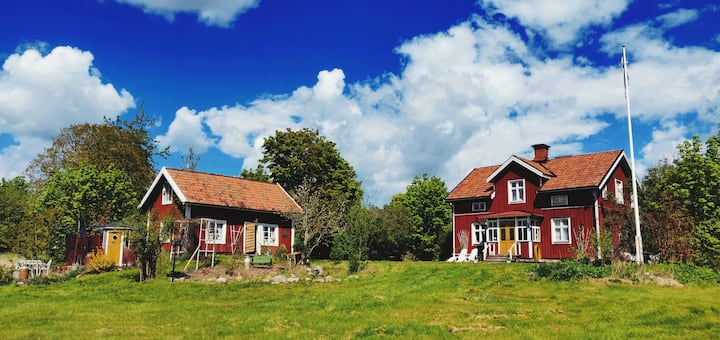 gräsmark dating hammerdal kvinna söker man