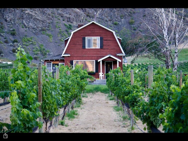 500+ Osoyoos Vacation Rentals House and Cabin Rentals Airbnb