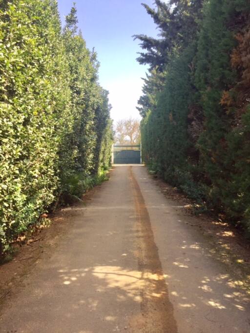 Ingresso villa