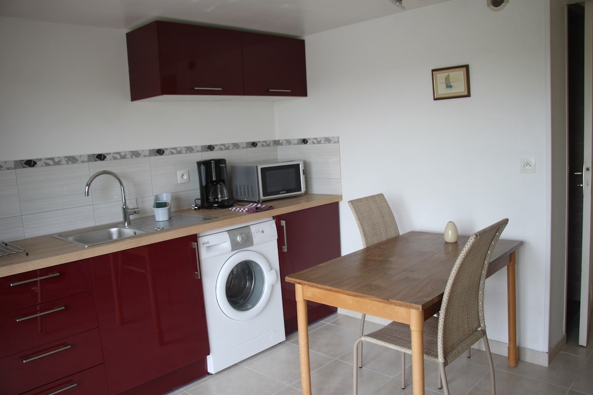 A modern kitchen area is presented with dark red cabinets and a light countertop. Appliances include a microwave, coffee maker, and washing machine. A wooden table with two chairs is positioned nearby, offering a cozy dining space. The walls are adorned with simple decor.