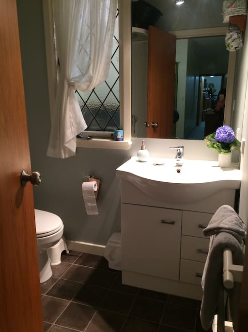 Bathroom with shower, vanity and toilet
adjacent to bedroom. Another toilet with handbasin is off the laundry.