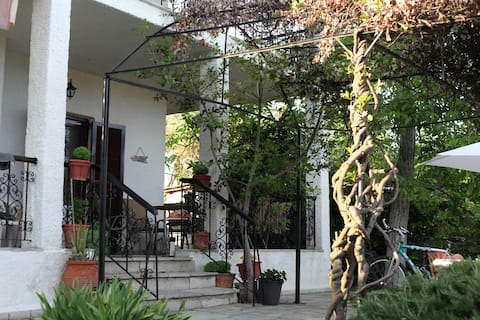 Country 2 Floor Villa House