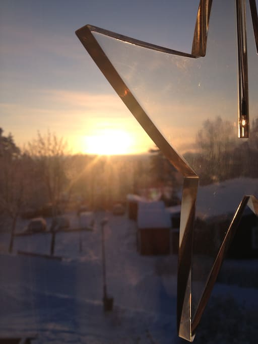 Utsikt från rummet