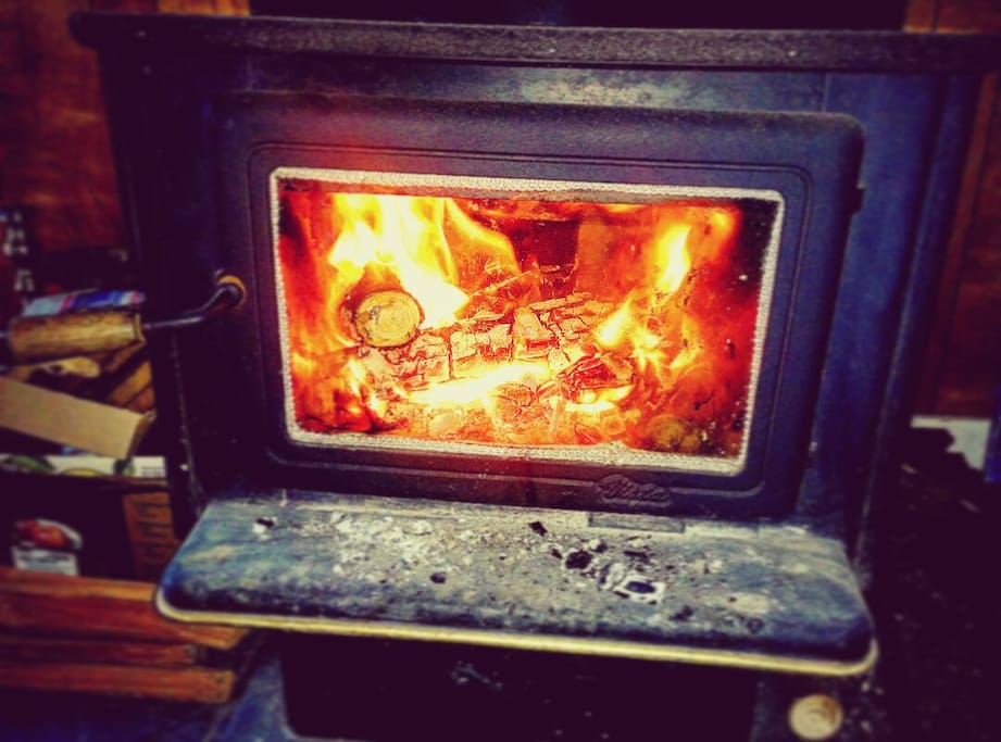 Wood burning fireplace