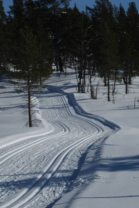 Cross-country ski-in and ski-out to a.o. Langedrag, Eventyrløype and much more