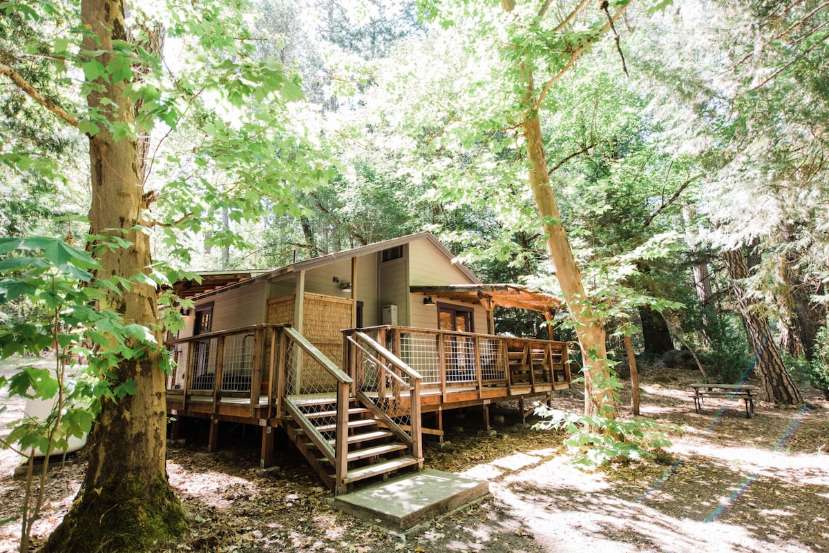 A cozy cabin nestled among towering trees is surrounded by vibrant greenery. A wooden deck with a railing extends from the entrance, featuring steps leading up to the porch. Sunlight filters through the leaves, creating a serene atmosphere.