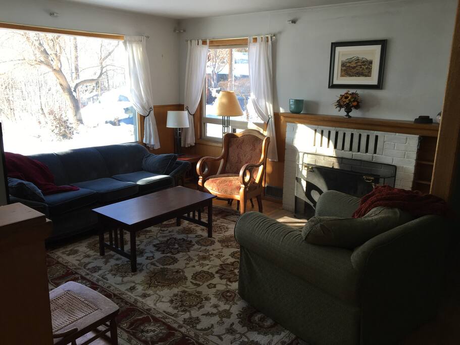 Living room has fireplace, TV and Roku.