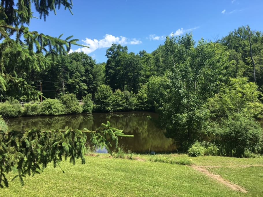 Pond out front