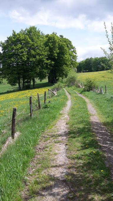 Der Weg hinter unserem Haus
