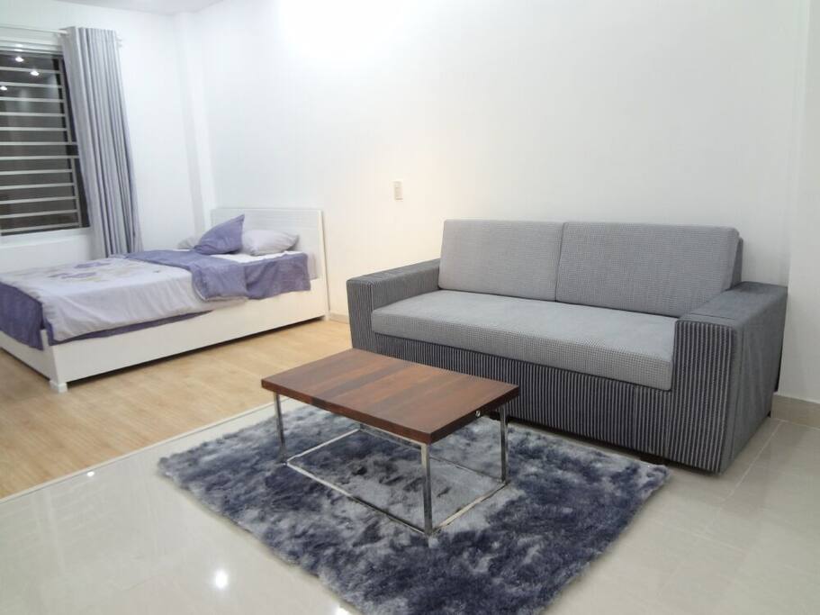 Spacious and Cozy Apartment for rent in District 1
