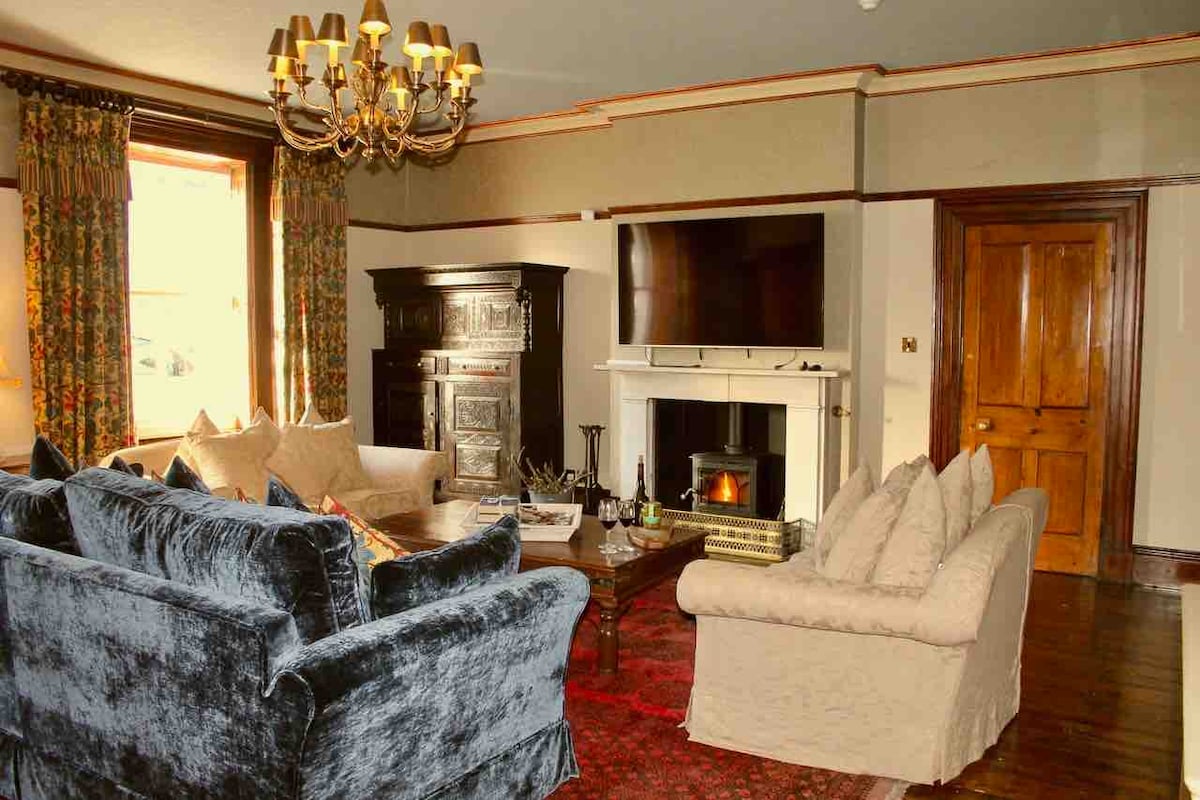 A spacious lounge area is presented with comfortable velvet sofas and a large coffee table. A marble fireplace with a wood burner is positioned centrally, complemented by a flat-screen TV above it. Decorative curtains frame the window, enhancing the room's rich character.