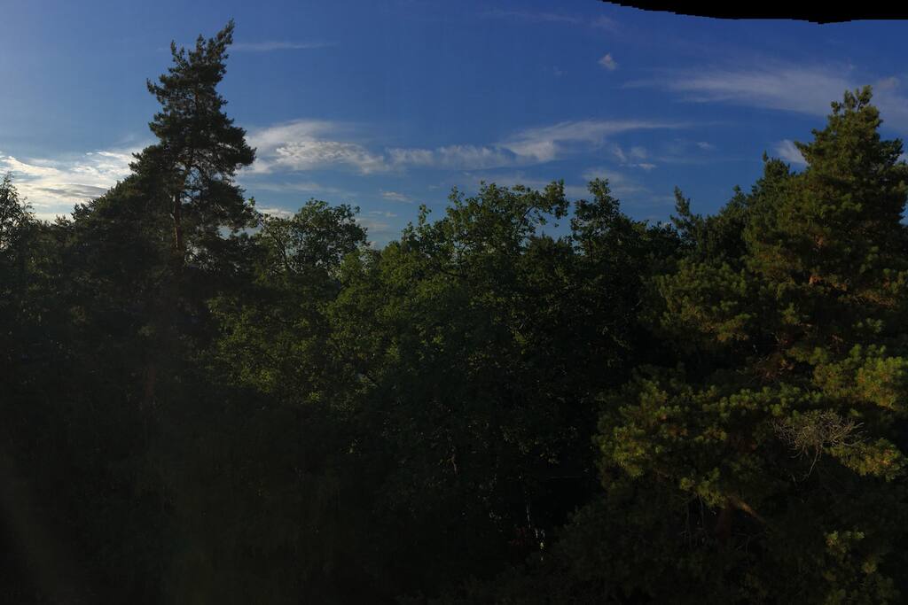 Bedroom view facing quiet gardens and open skies.