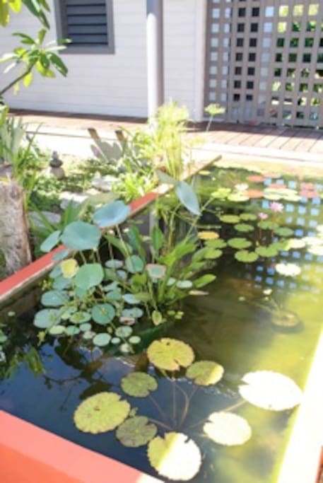 Bassins zen