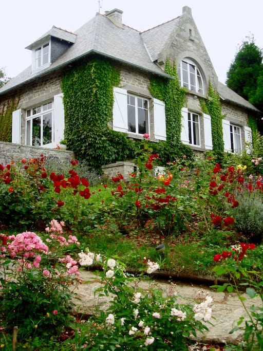 jardin planté de roses