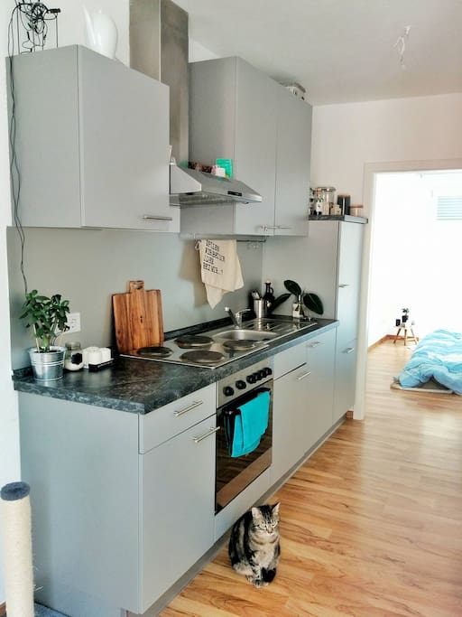 Kitchen with all the necessary gadgets