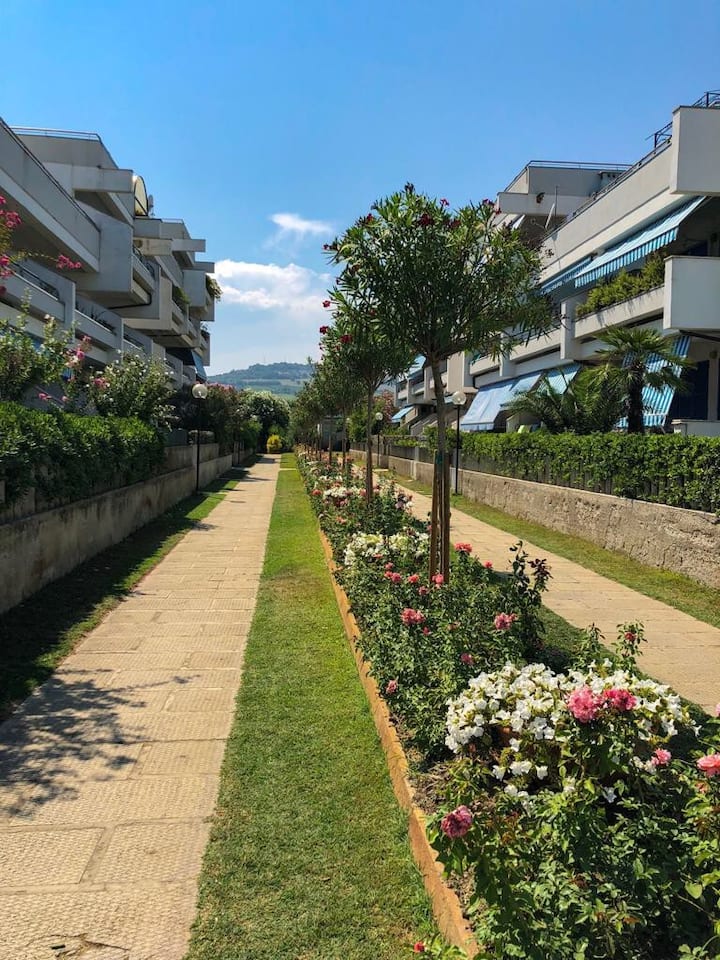 Seafront apartment in Villa Rosa, TE Apartments for Rent in Villa