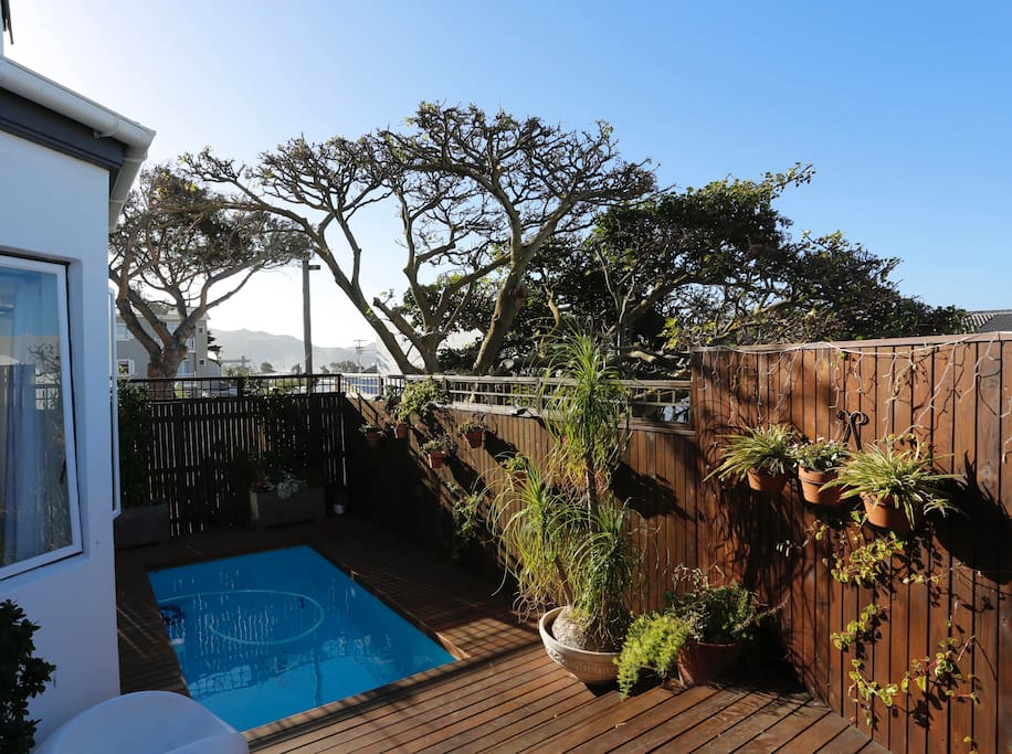 Solar heated swimming pool and deck